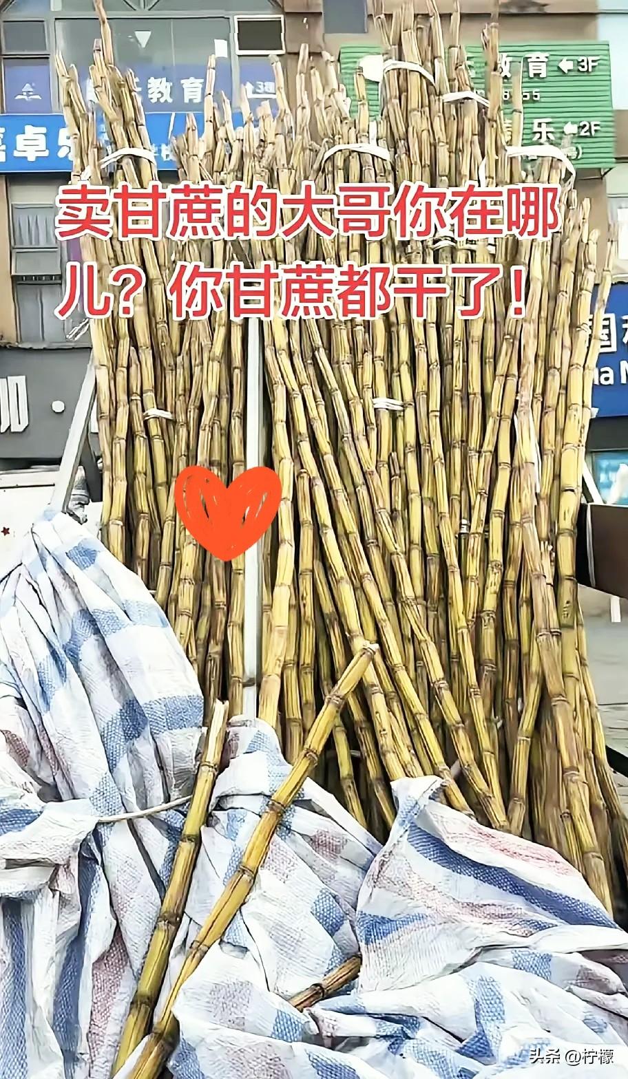 太暖心了，
四川，一男子发现，
楼下常年摆摊卖甘蔗的大哥从过年之后就没出摊了，路