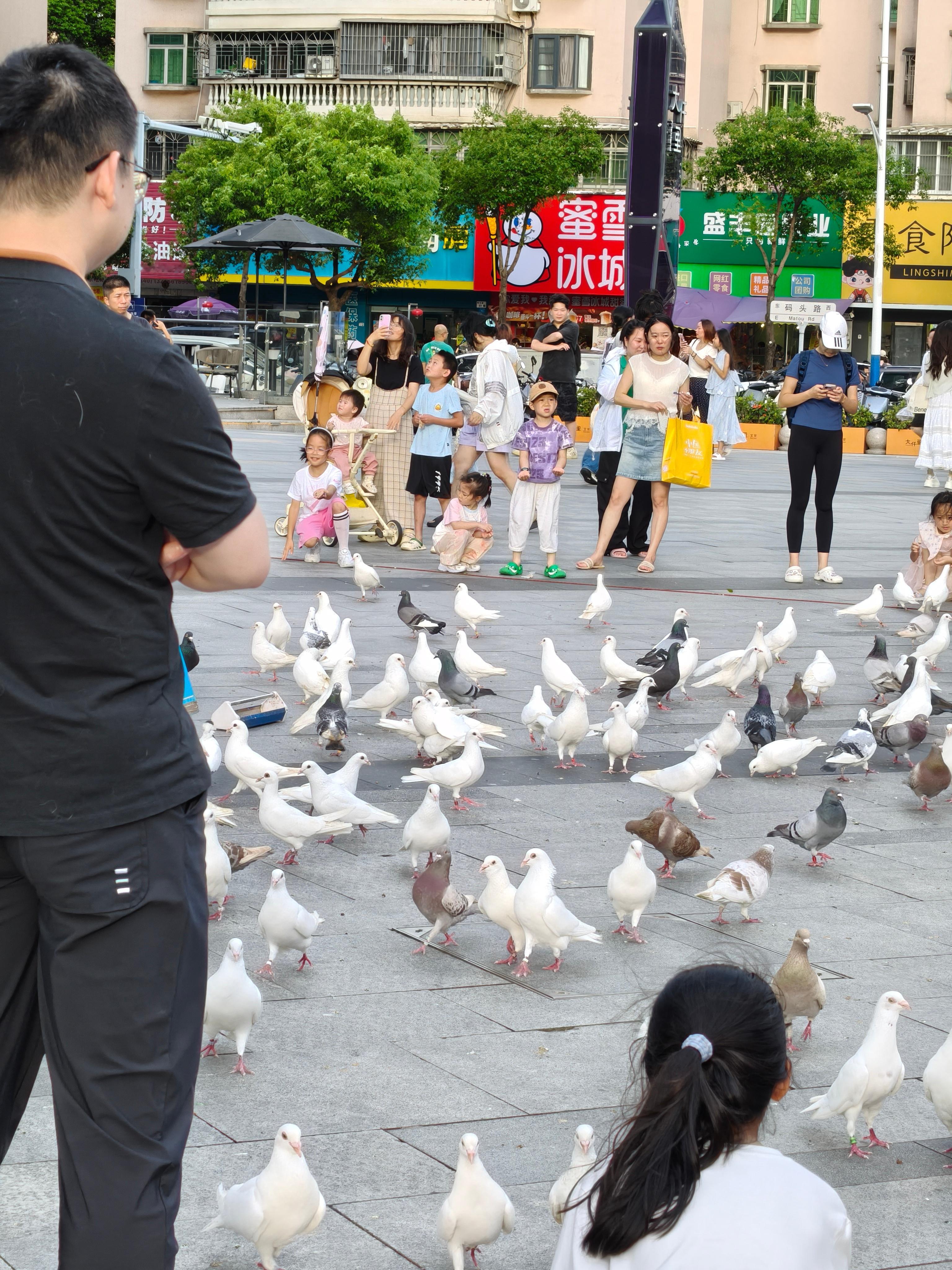 每次经过这里我都有个疑虑会喜提鸟屎吗[思考] ​​​