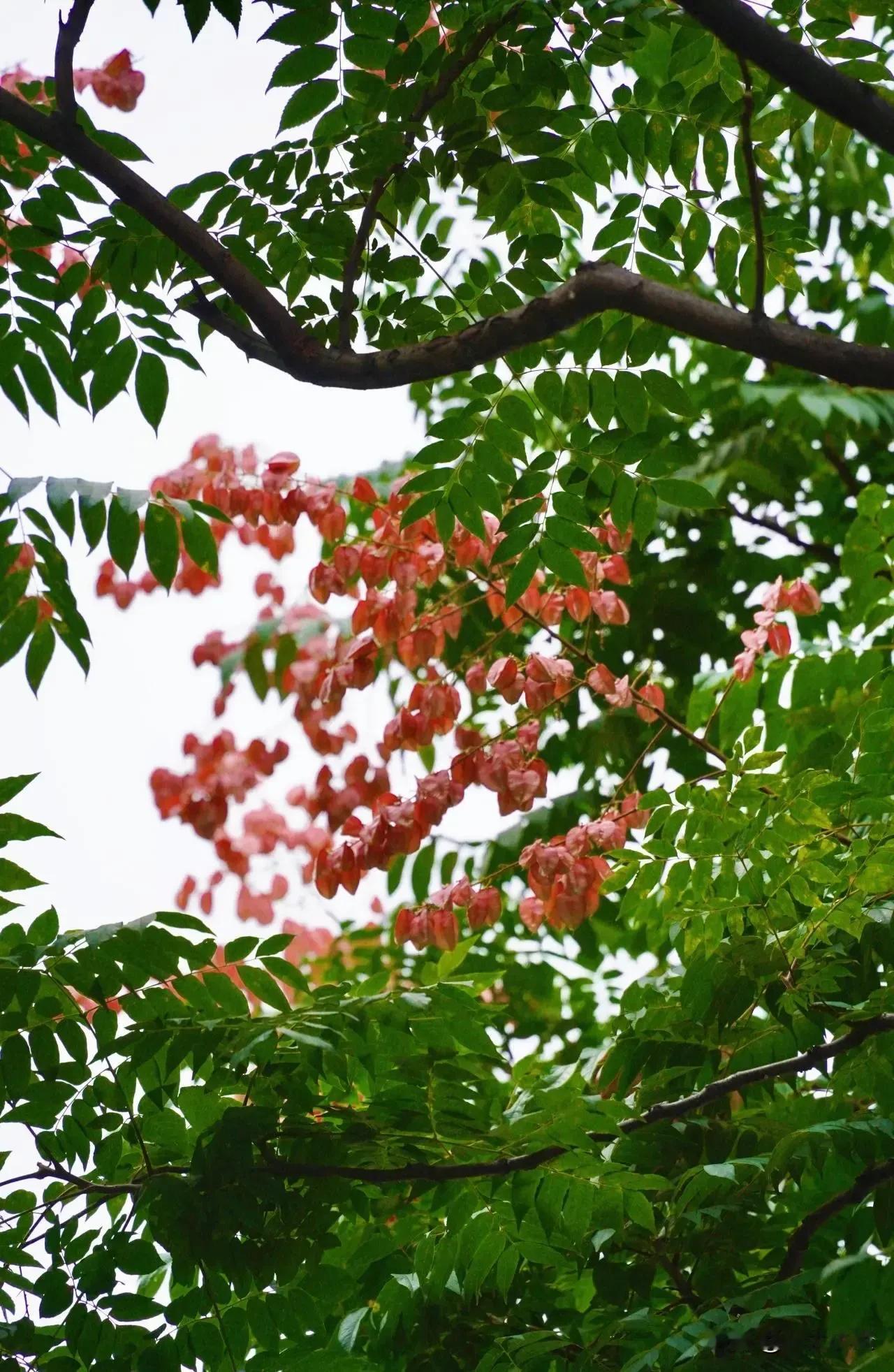 或许少跟无效社交聚次餐、
或许少为所谓的前途加个班，
或许少捯饬点手机少上点网，