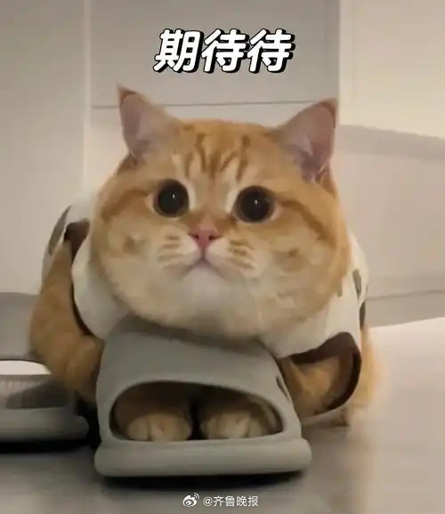 哪怕此刻的生活有多糟糕，也总会有好转的一天。#晚安# ​​​