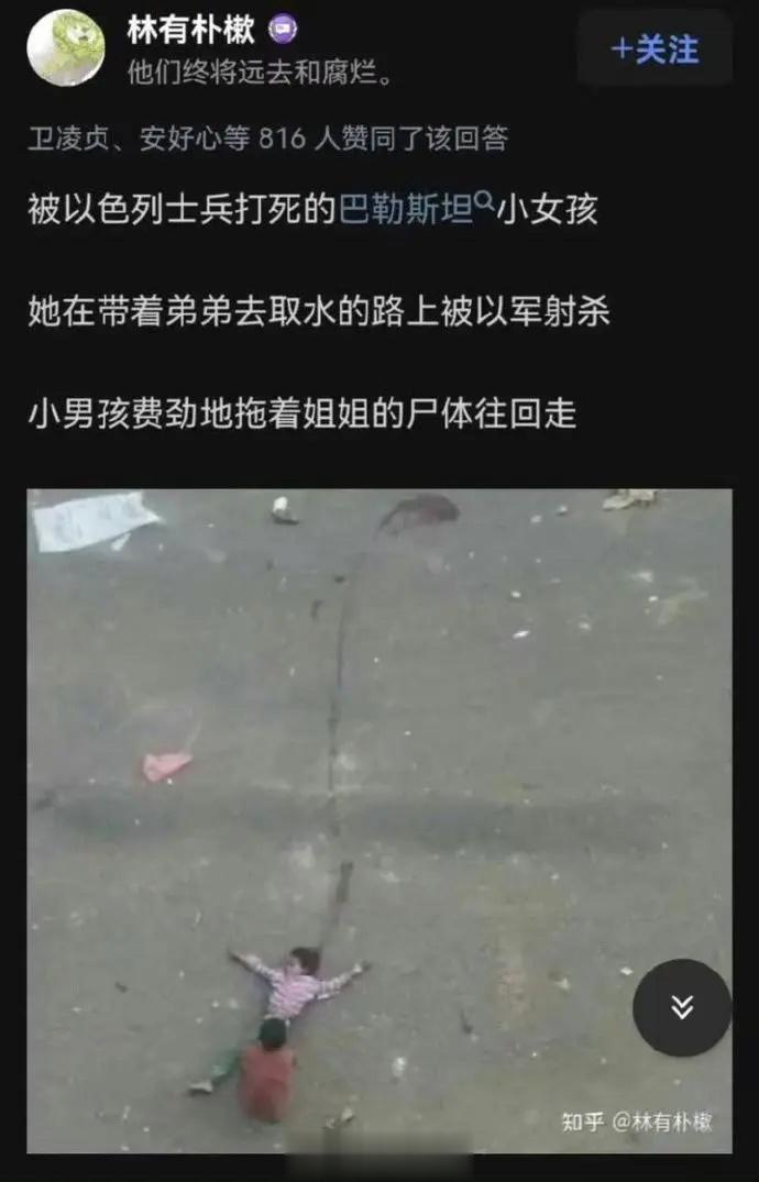 被以色列士兵打死的巴勒斯坦小女孩，她在带着弟弟去取水的路上被以军射杀，小男孩费劲