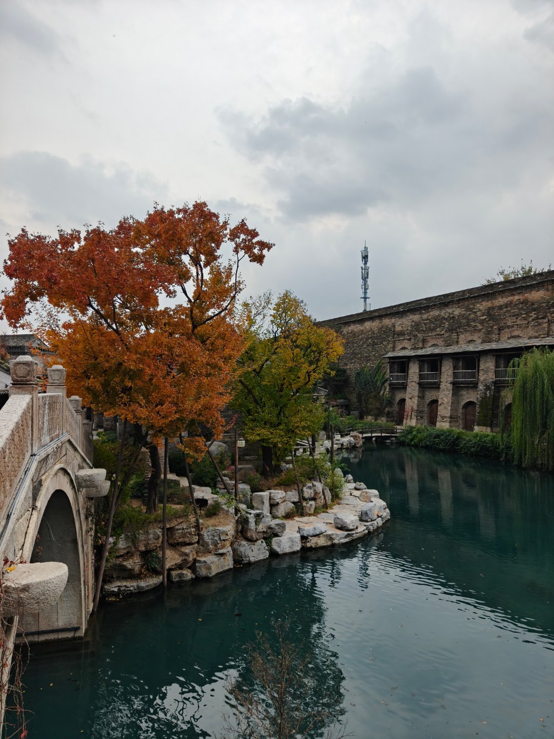 一颗秋天的树  ​​​