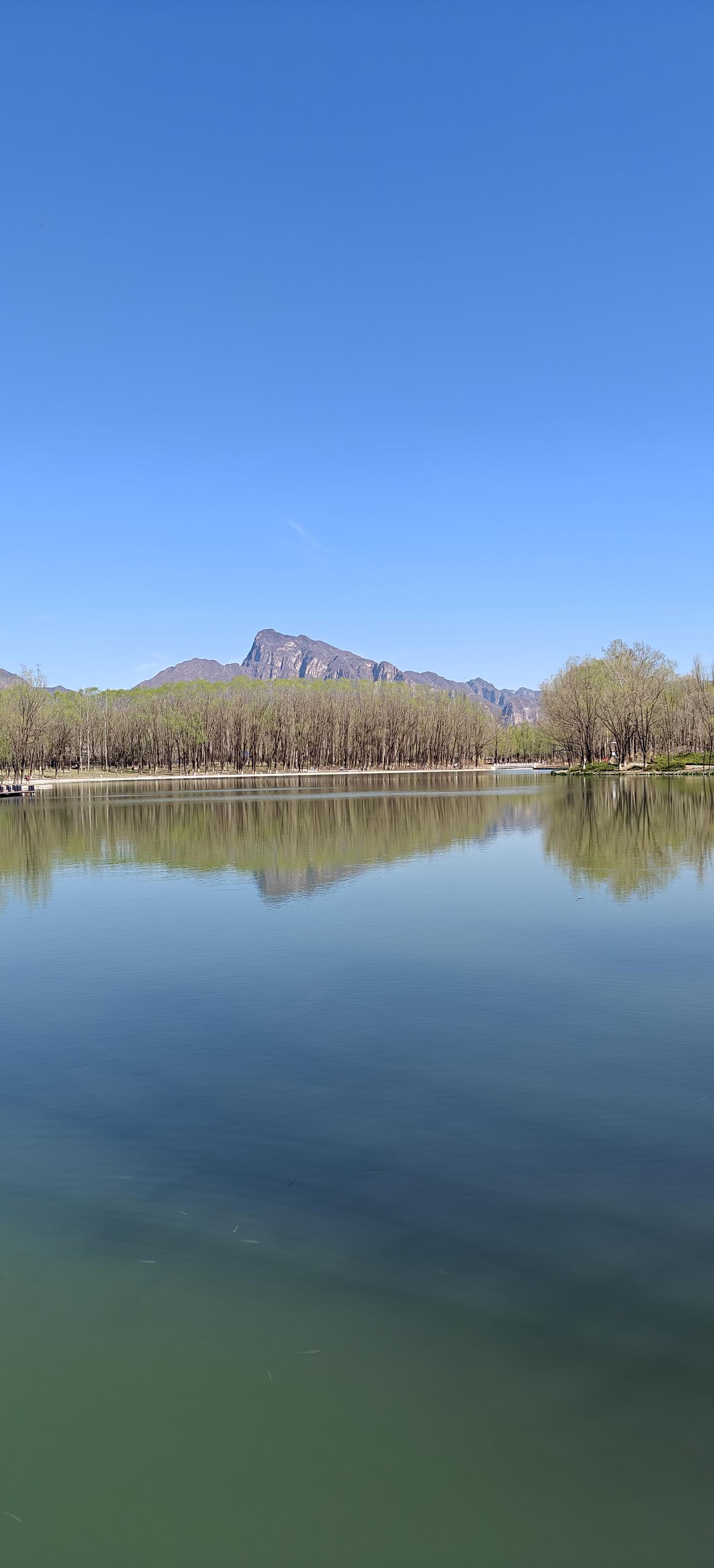 春天，还是来了。