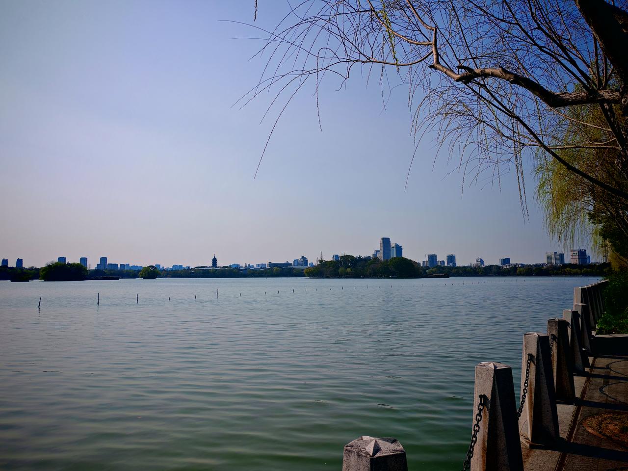 天南地北大拜年