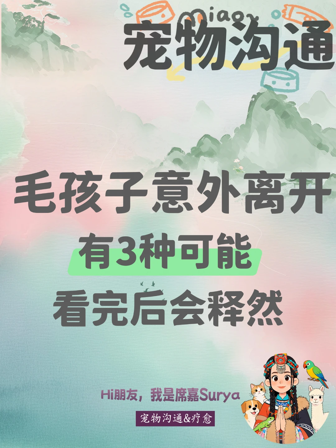 宠物沟通｜毛孩子为什么意外离开