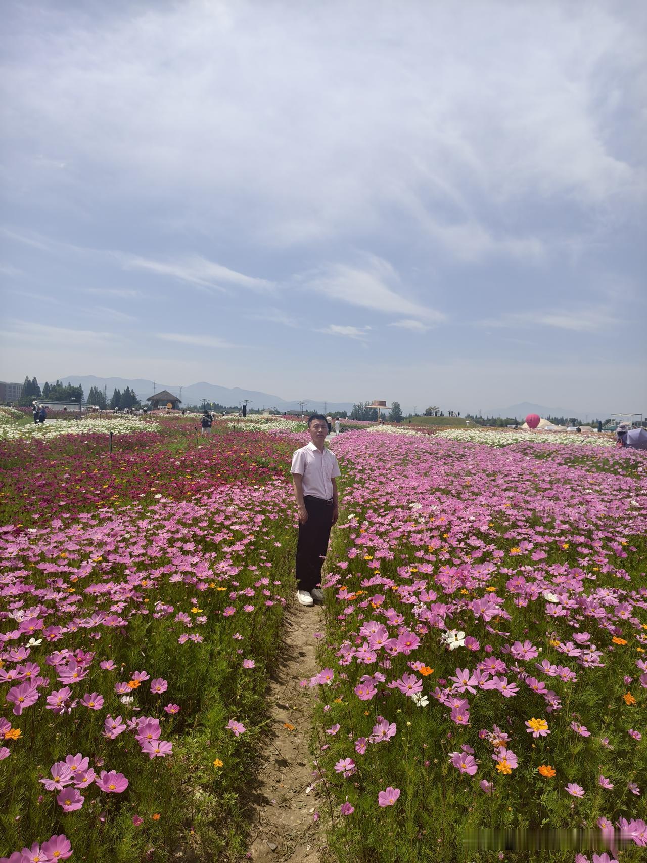 花美花香迷人醉
杭州铜鉴湖公园美景