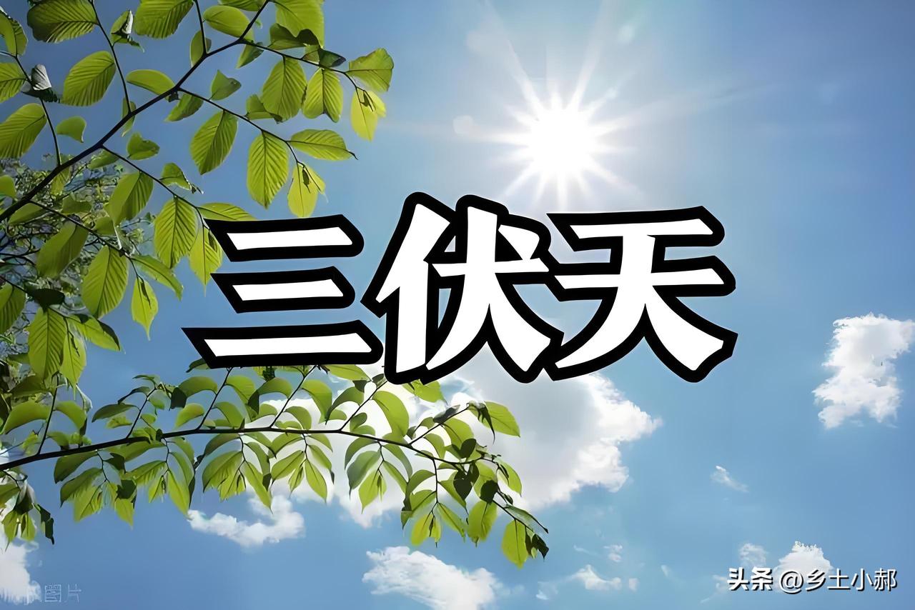 今年哪一天入伏？哪一天出伏？共有多少天？一次性讲清
 
老话常讲：冷在三九，热在