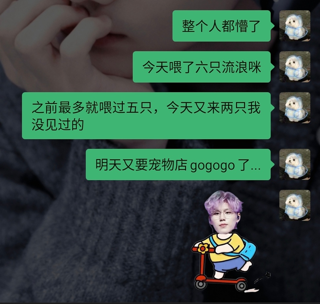 分享图片 