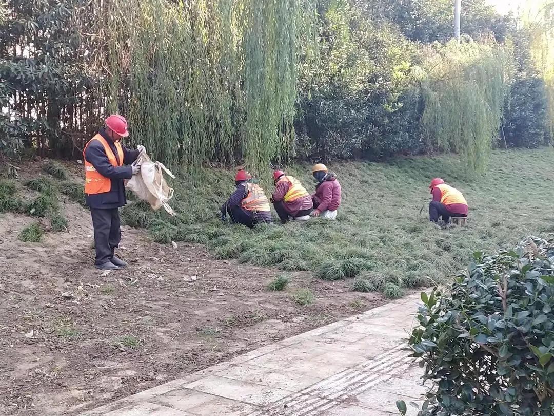 今天中午小区几个栽花草的大婶大叔边干活边聊天，一个声音响亮的大婶说：

我这辈子