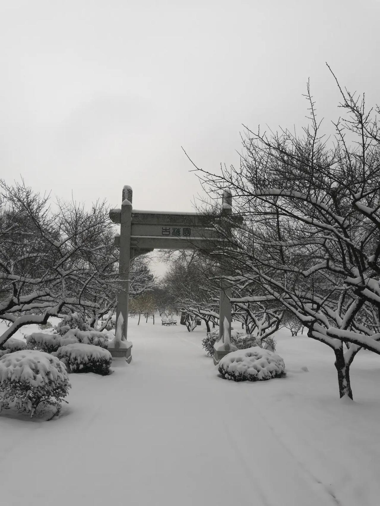 雪天来这赏梅太棒啦😄