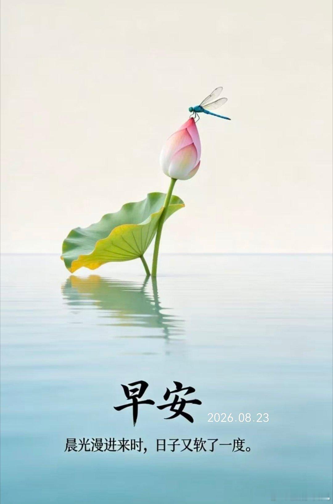 周日早上好，万物醒转，愿你我皆安好如初☀️ 北京