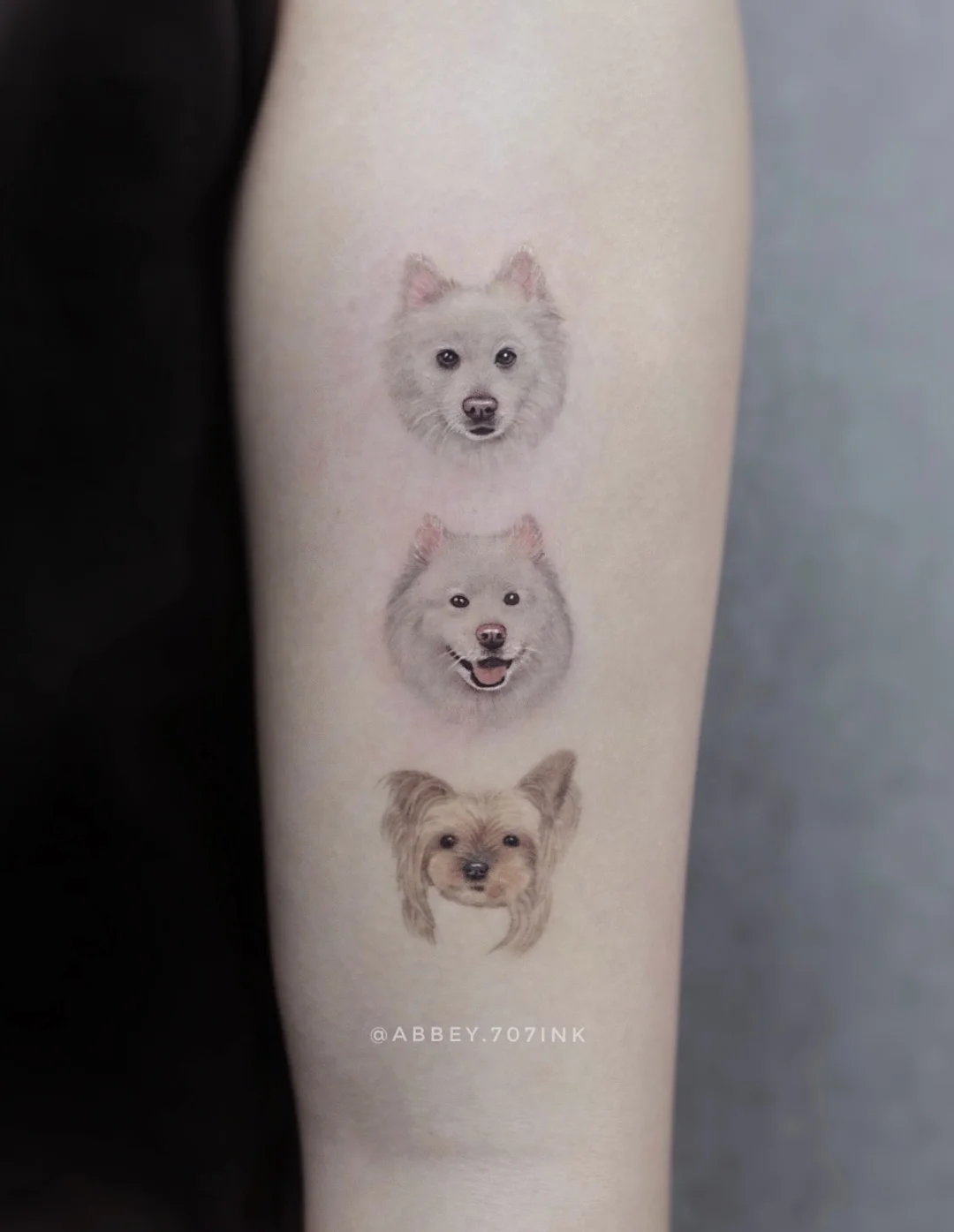 🇨🇦一家人就是要整整齐齐🐶