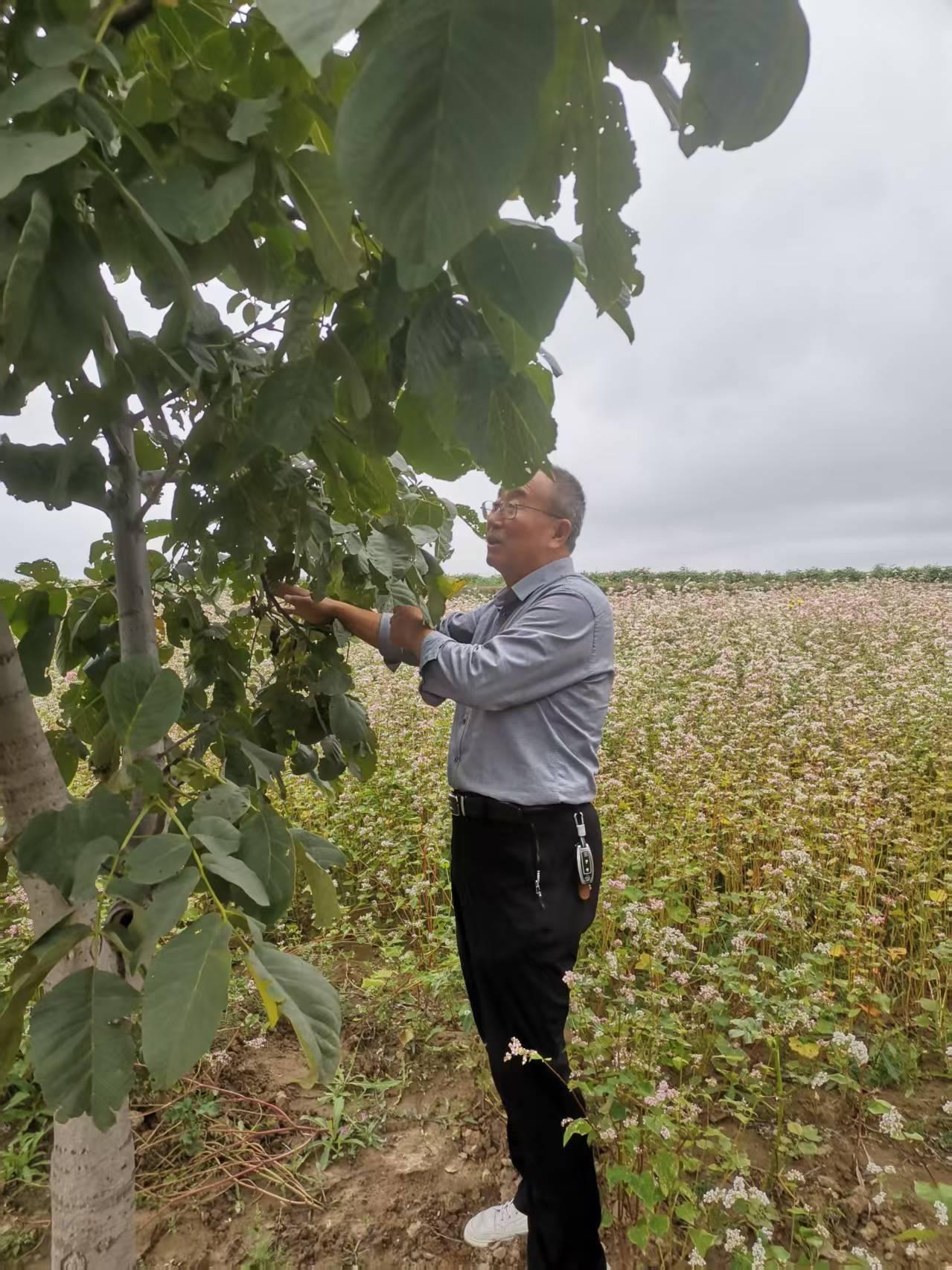 清晨把被子抱到阳光下晒透，傍晚收回来时把整张脸埋进去——阳光的香气是免费的拥抱。