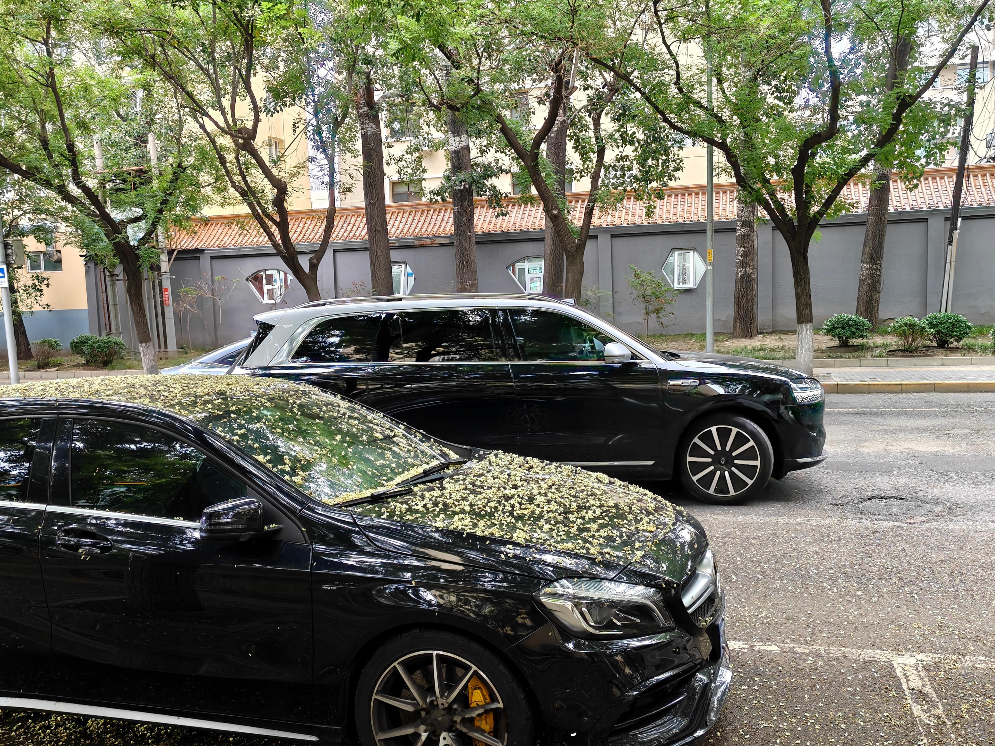 我问界M8刚路边侧方停好车，又来了个问界M9，也是黑色，俩兄弟凑齐一了。[喵喵]