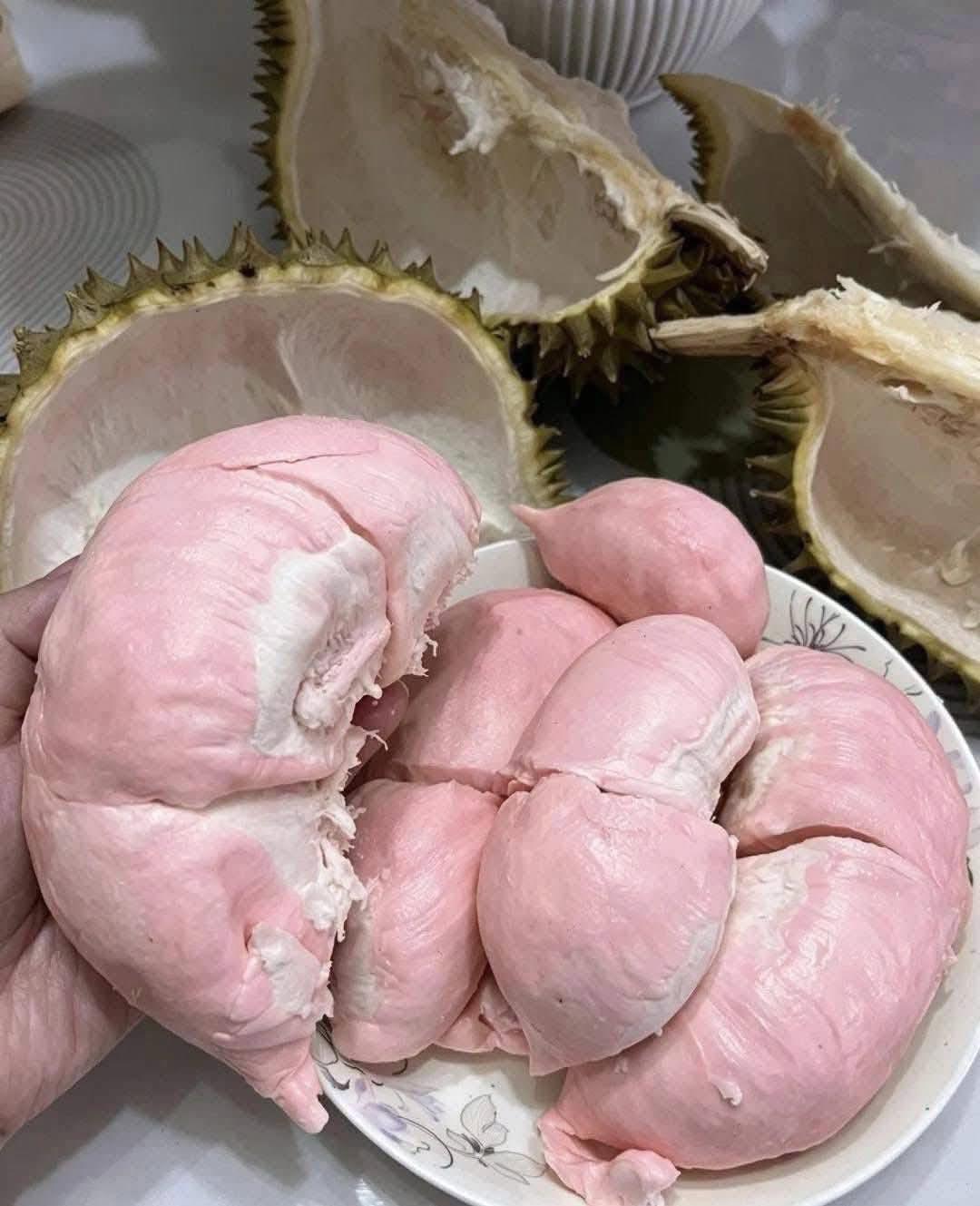 riêng Như Ý Ruột Hồng），也有人叫它“黄珠龙”（Hoàng 