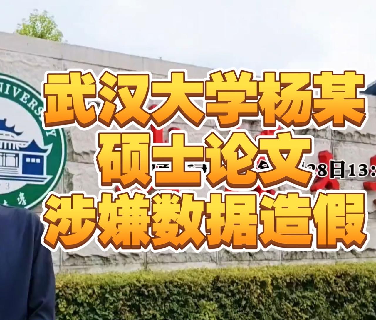 清华大学何教授在B站放话，要是武大不撤回之前的处分决定，以后就不给武大审稿，也不