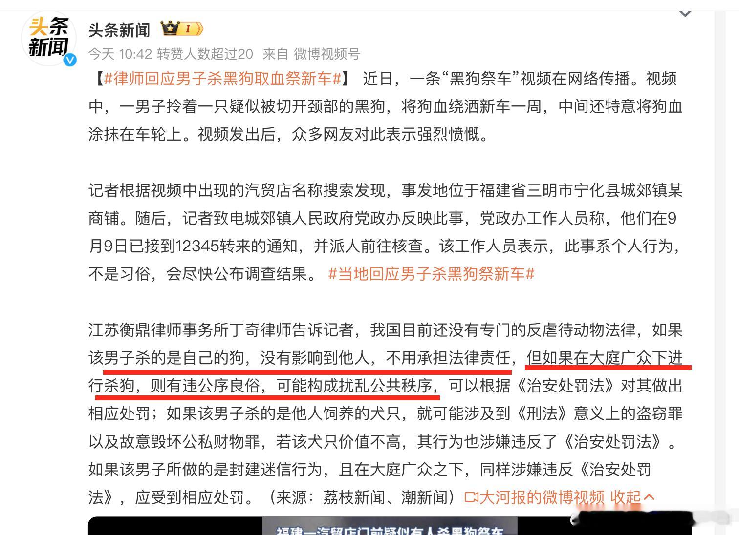 当地回应男子杀黑狗祭新车 这事，真正扰乱公共秩序的是传播视频的人、网络上污言秽语