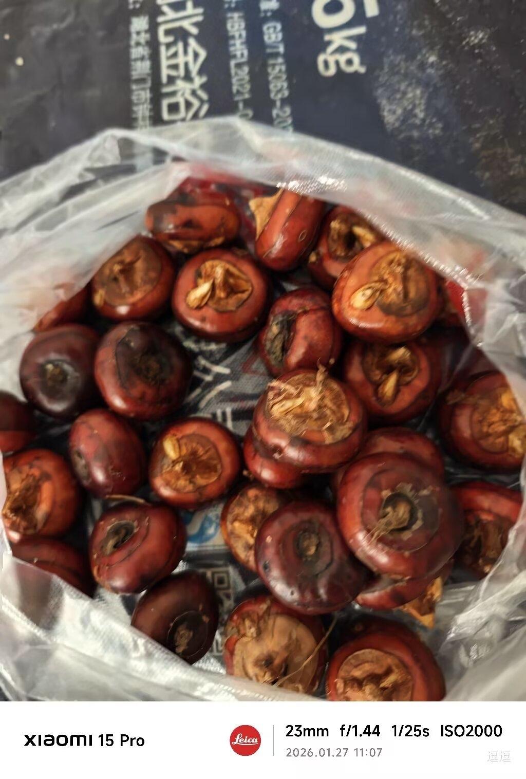 谁认识这宝贝？城里很少见！各地叫法五花八门，每个地方土名字都不一样。我们家乡从小
