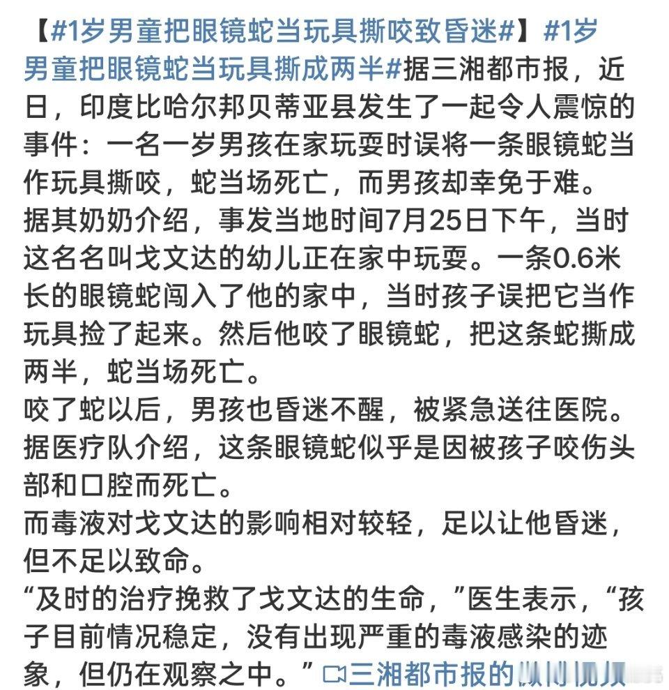 1岁男童把眼镜蛇当玩具撕咬致昏迷几岁？把什么当玩具玩？[费解][费解] ​​​