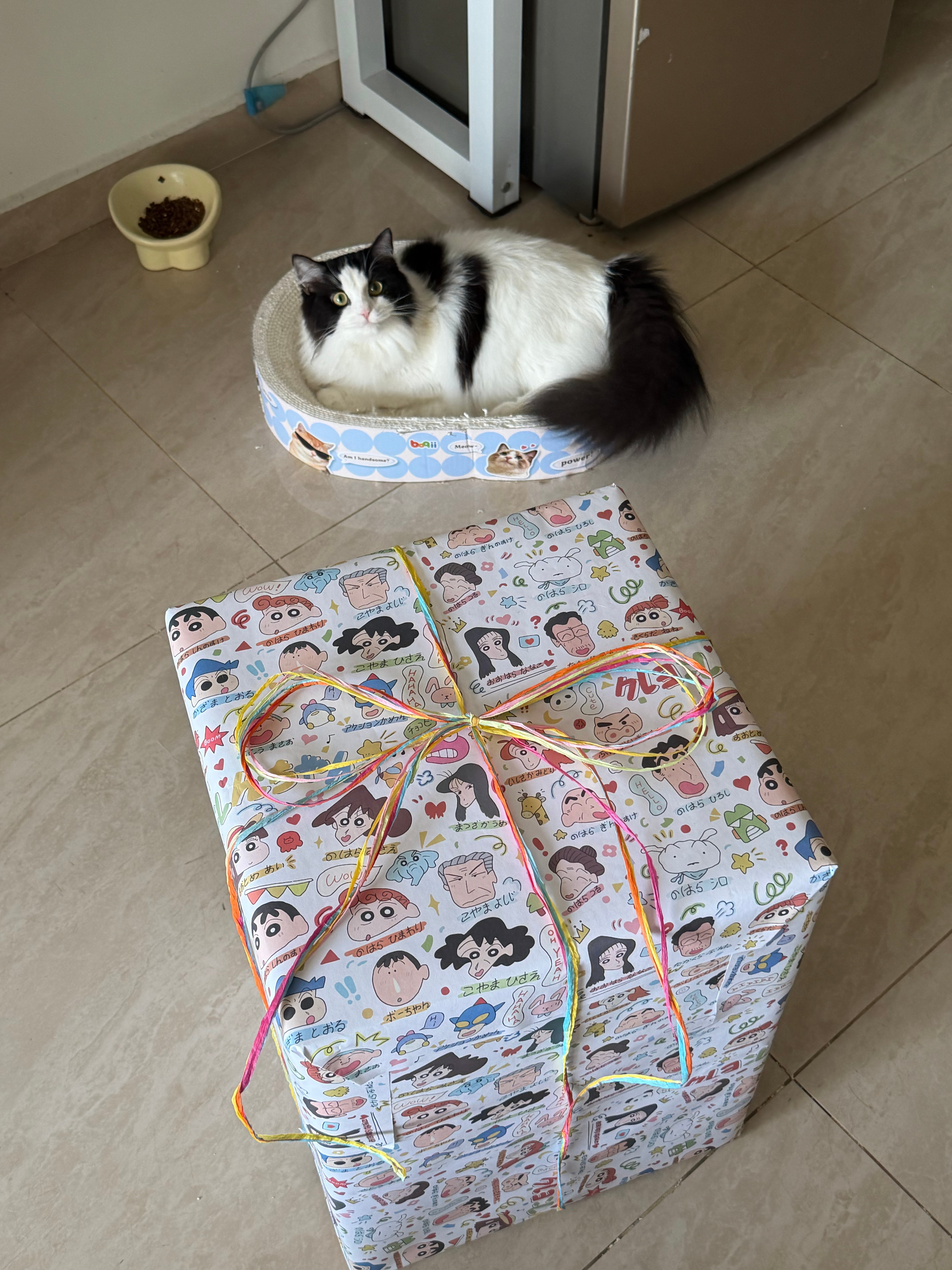 二灿我来了猜猜我送的啥啊哈哈哈哈哈（知道的不要透露！！！米琪吵吵屋