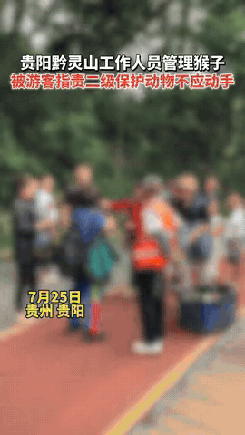 “真气人！”贵州黔灵山景区，一位白发老人正用细长工具驱赶猴群，防止它们伤及游客。
