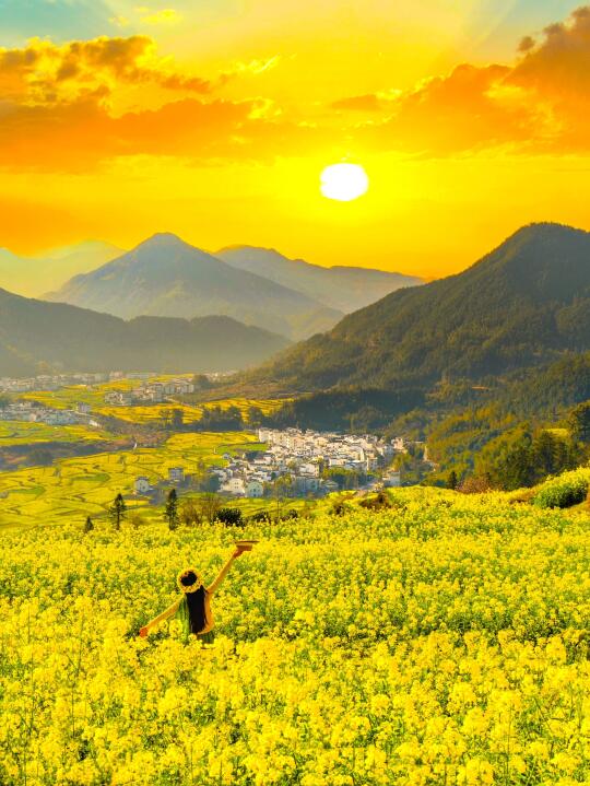 live实况🌼婺源的春天美到封神！没有平替…