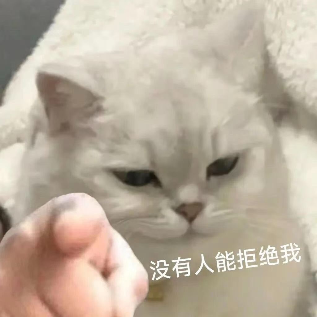 📣 今日商务汇总真维斯1 真维斯2真维斯3康师傅冰红茶台铃电动车 ​​​