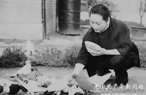 徐向前曾担任孙中山卫士，多年后宋庆龄却摇头：我那时不认识你啊
这段真实发生在中南