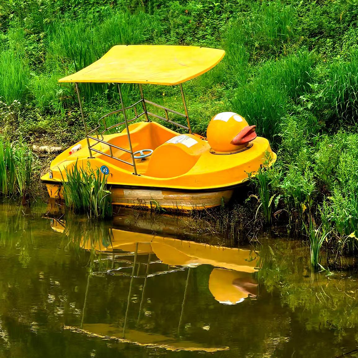 春日晨曦中……