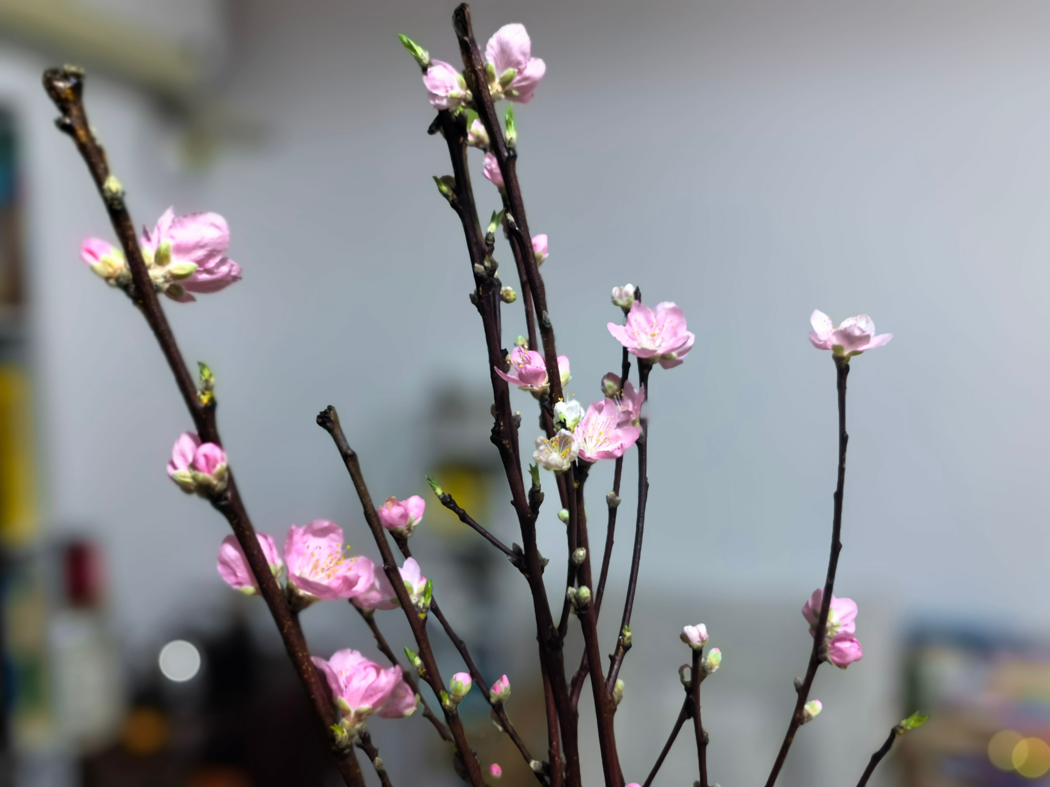 守拙我们最牛逼的资产是自己的信念。(一)在易经的角度，换大运的时候，往往伴随着黎