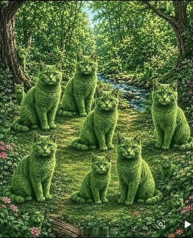 这里有多少只猫？ 