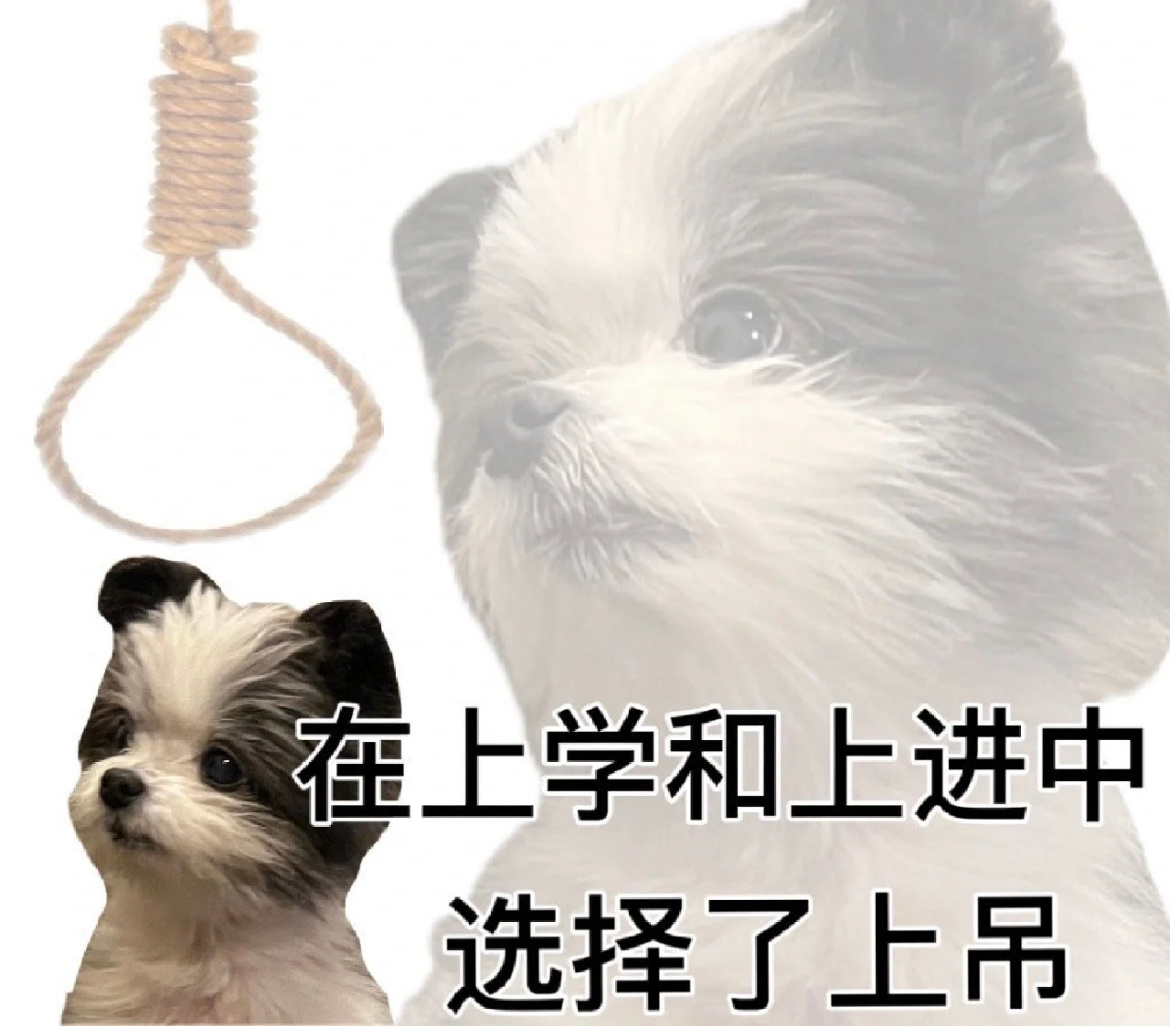 我不想活了，我现在租的这个房子是泰国的面积80多平，因为泰国是实际居住面积不算公