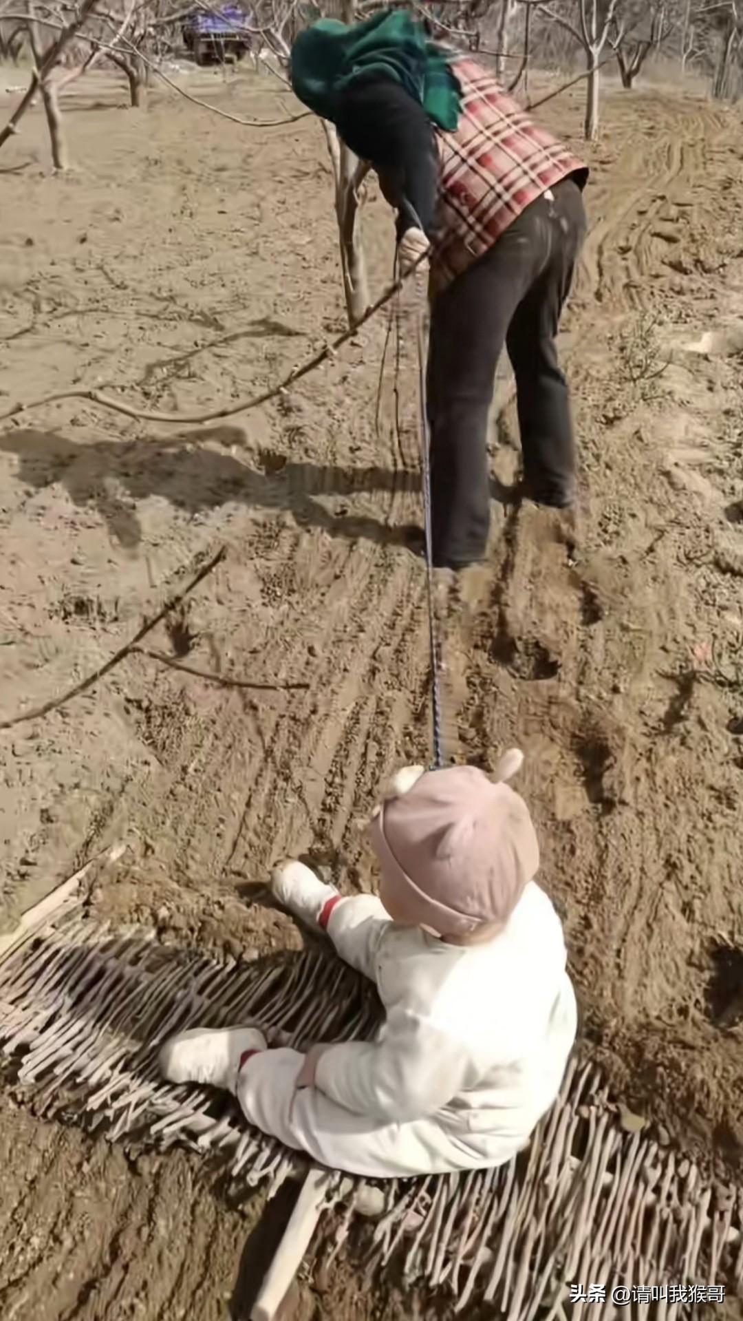 在山里种地，想找个合适的压爬犁的石头都难