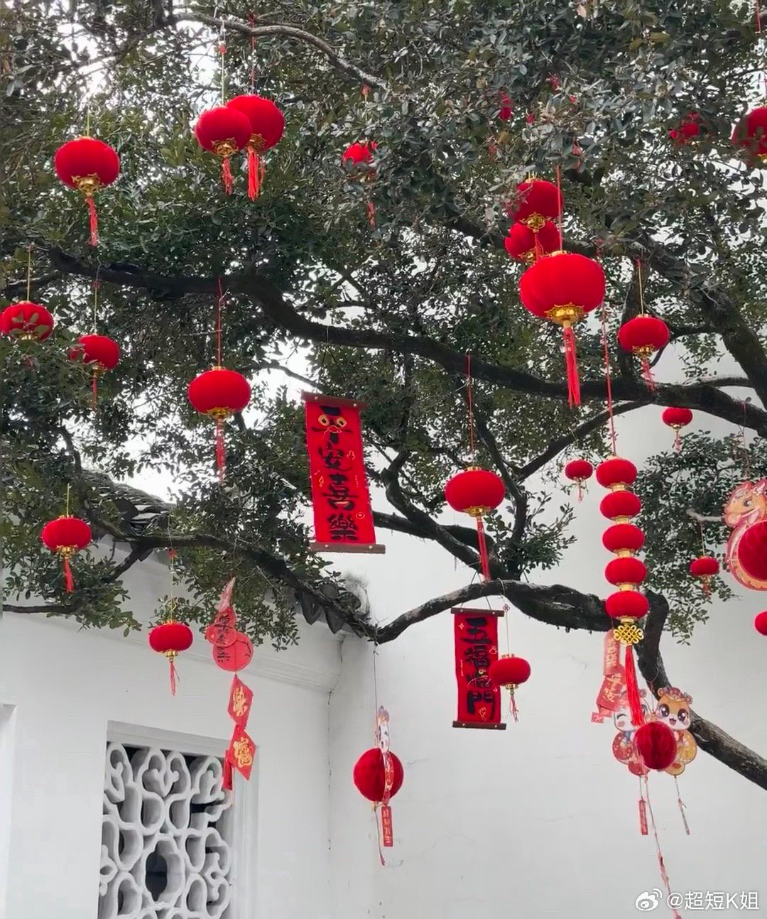 早安🌻捕捉晨光，定格美好。用最宽的心，装最多的幸福，希望日子安静，抬头皆是温柔