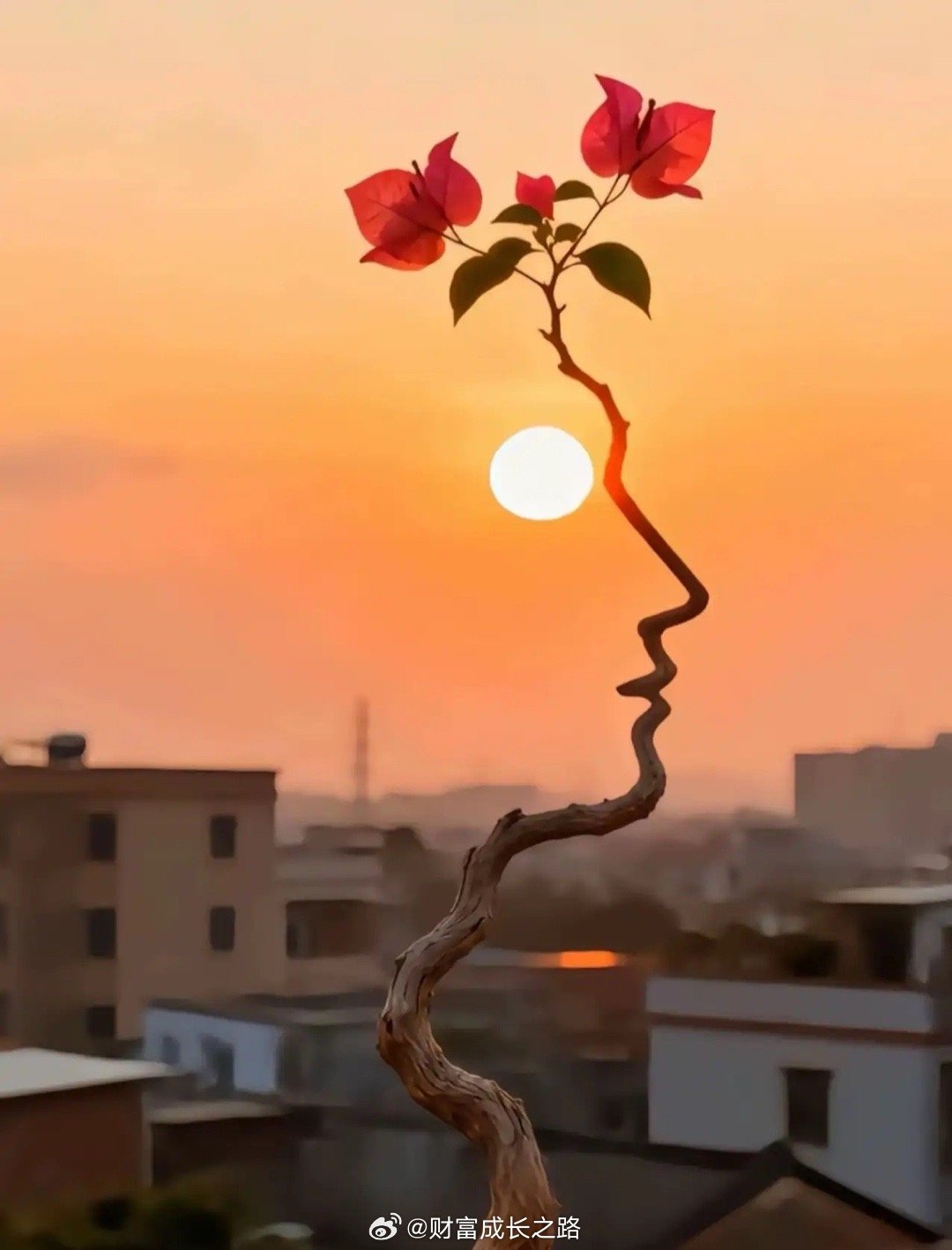 躺平等反弹，个人观点，今天基本上砸到位了，后面反弹的概率很大了。后面的华特气体、