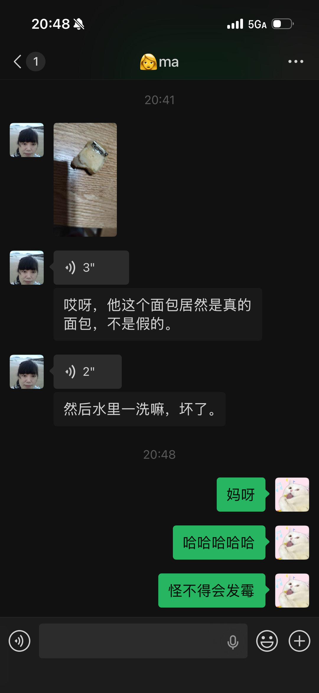 笑晕了几年前在🇯🇵买的面包胸针今天整理东西的时候发现发霉了，妈说不要紧啊帮我