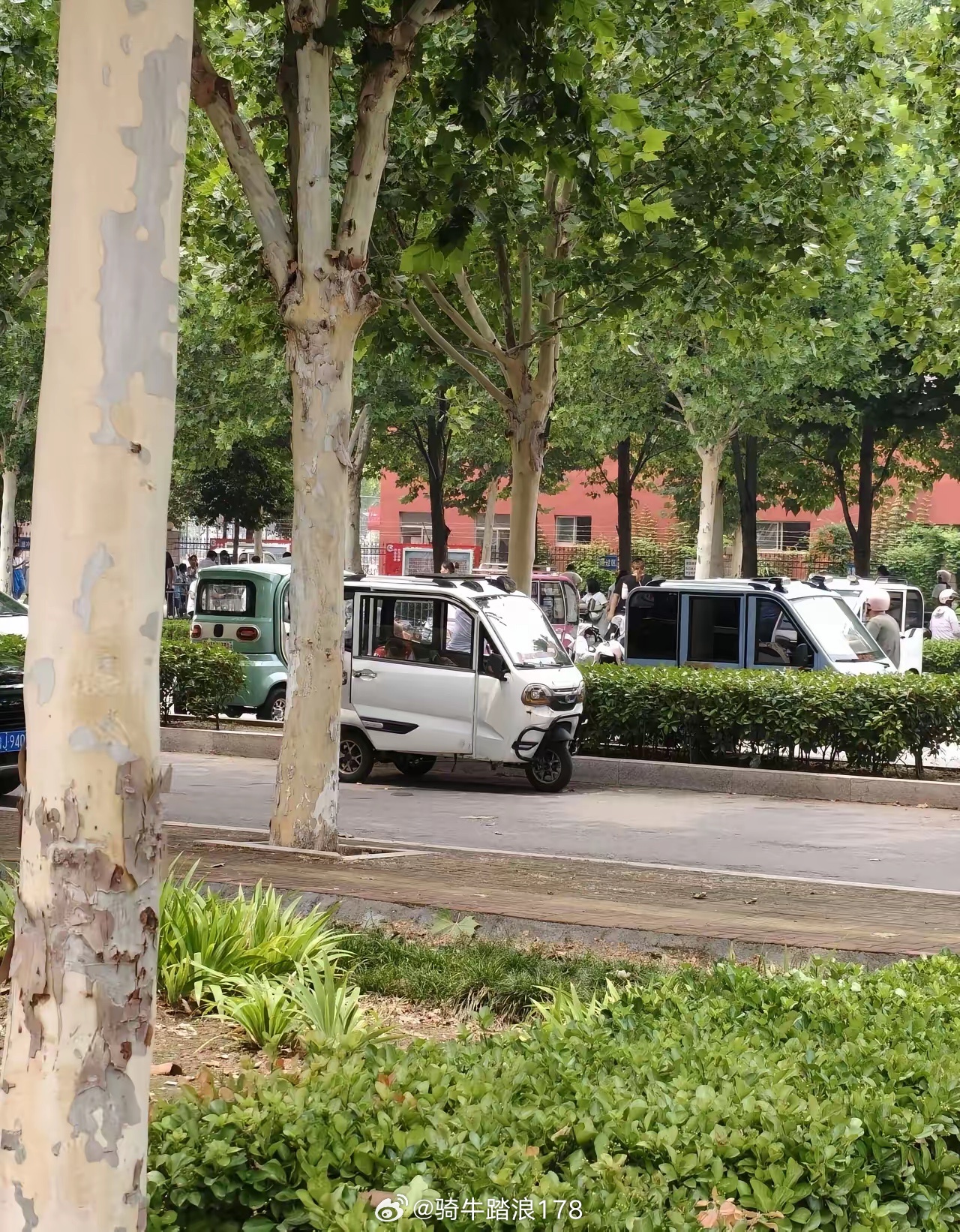 西安严总坠楼前，先把员工工资都给发了，然后跳楼身亡。谁能想到走到绝境的老板，心里
