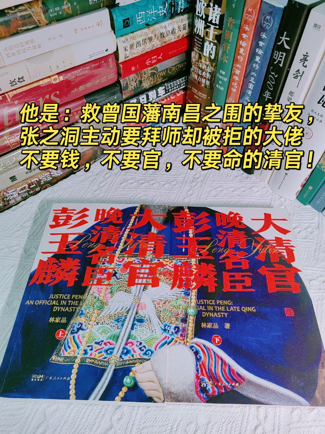 怒s李鸿章的侄子--“活Y王”名臣彭玉麟