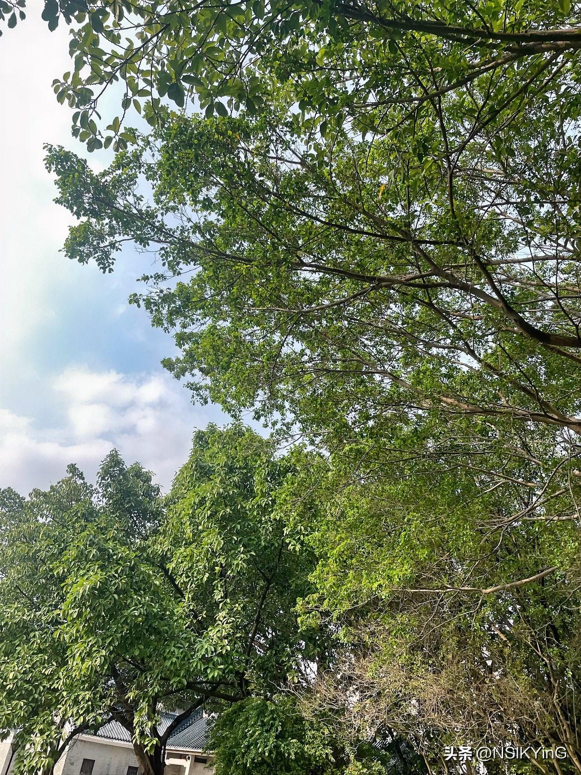 我的今日状态：😁轻松愉快
我这里的天气：☀️晴天