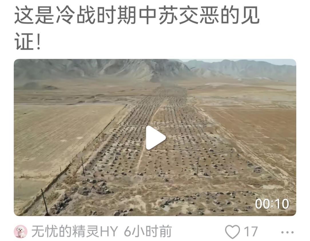 中苏关系在49年至57年处于蜜月期，属于战略同盟。58年至88年关系不正常，期间