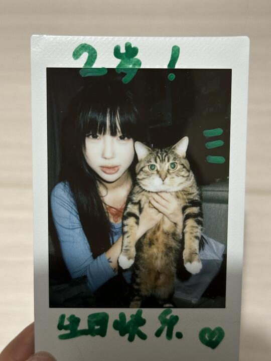 生日快乐罚站小猪咪