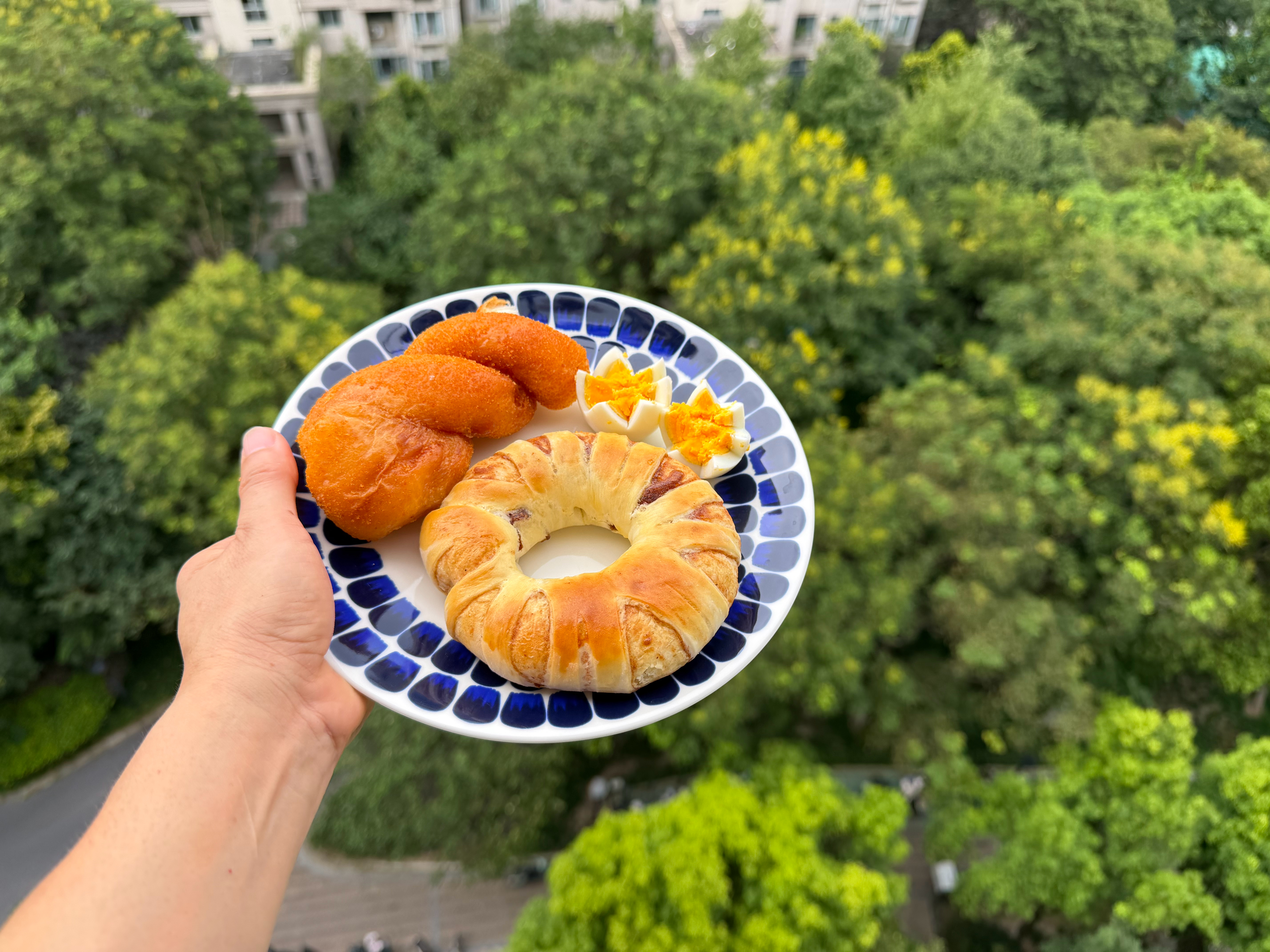 夏末秋初夏天最后的暑气孩子最后的假期不动很舒爽动动一身汗楼下的栾树花苞初现天空的