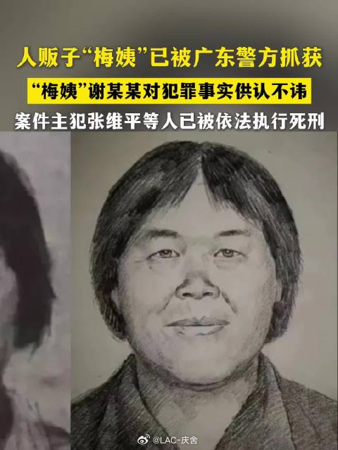 谢某某就是梅姨 一句 “供认不讳”，换不回被偷走的十几年。正义或许会迟到，但绝不