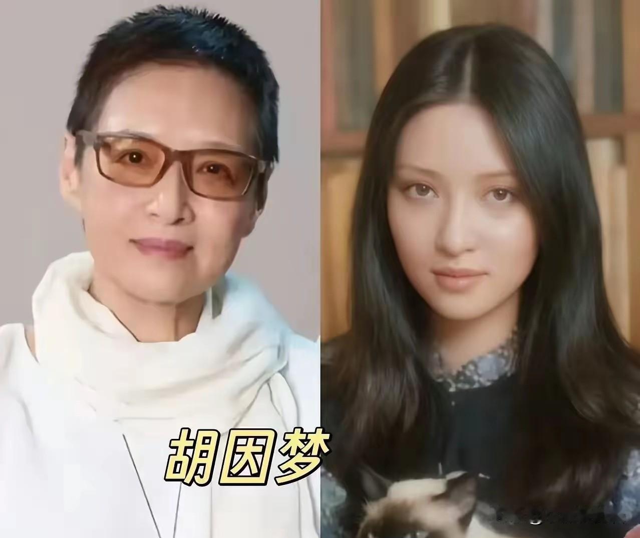 年轻时风华绝代，晚年从容优雅，胡因梦活成理想模样，褪去明星光环后，她看淡名利，潜