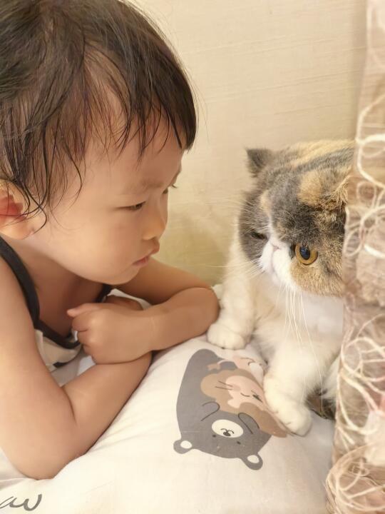 “你别过来呀”