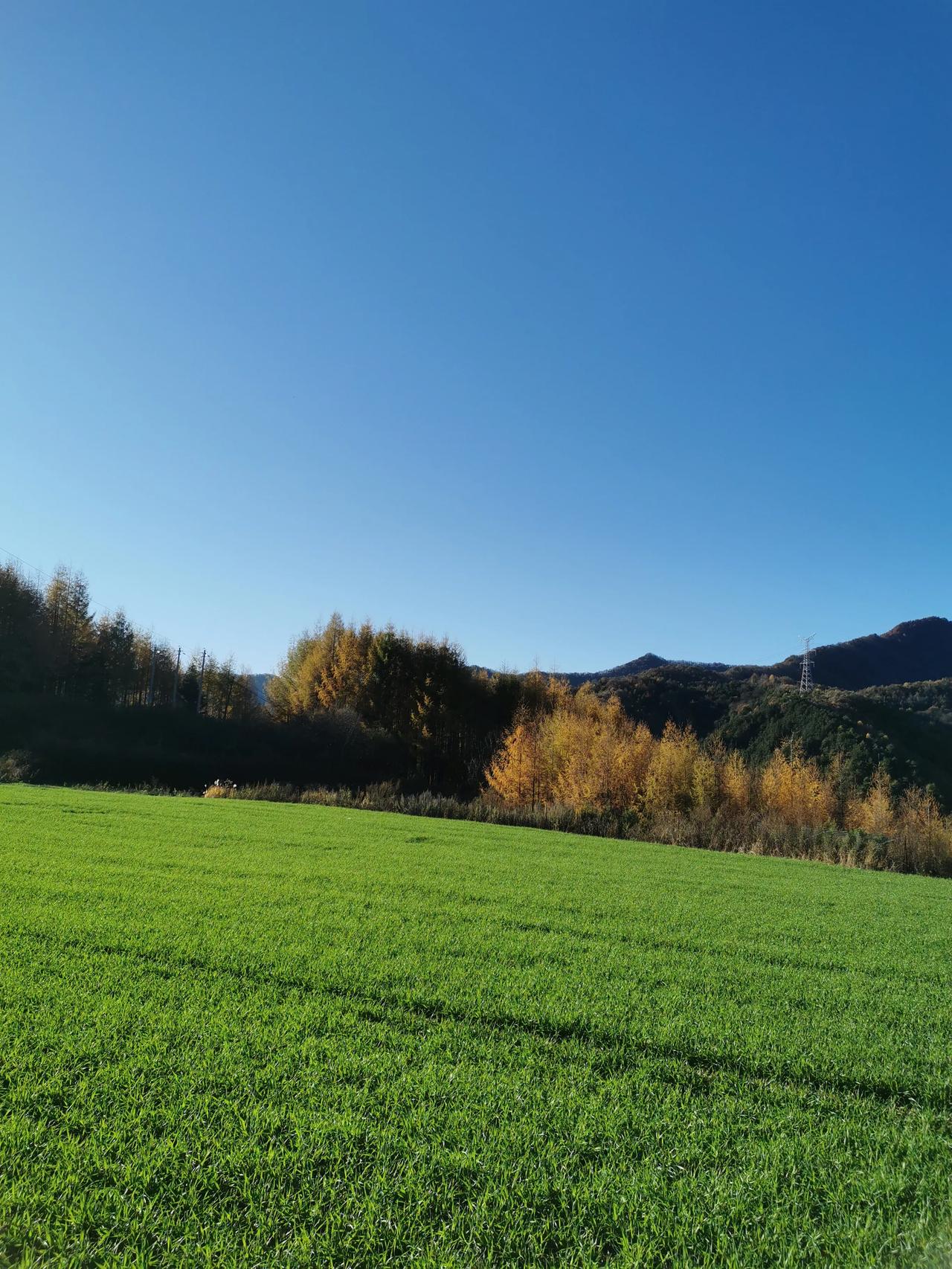 今天下午接到单位打来电话，是一位新来的年轻人，他说过年了，学校备了一些慰问品发给