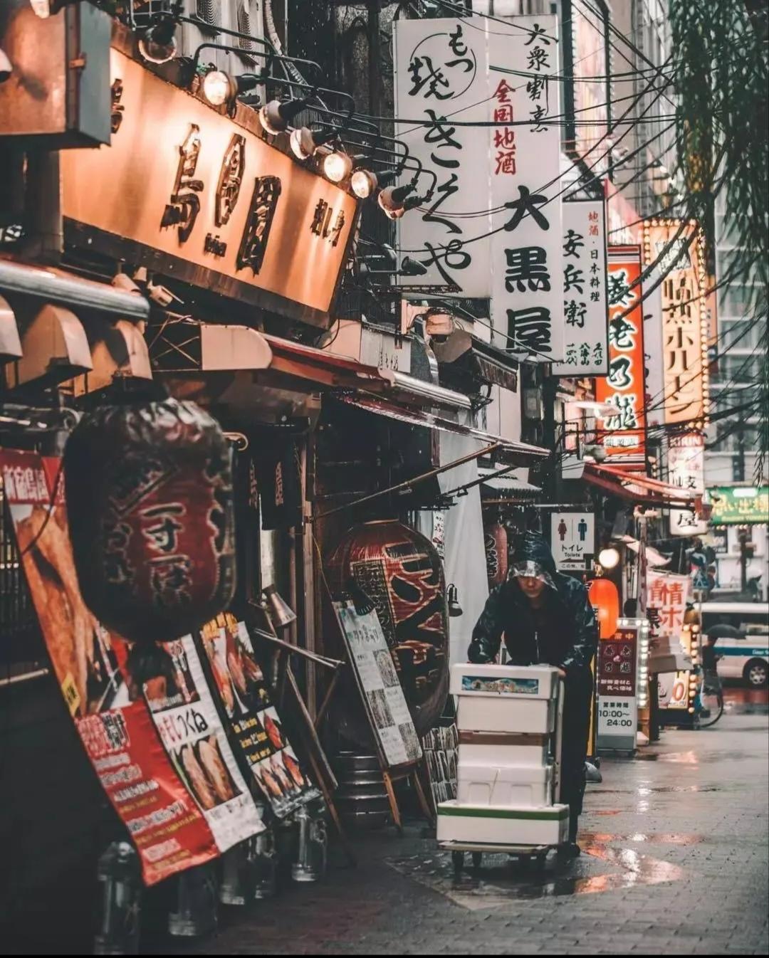 建议解放台湾后，
         在台湾设“日本族”。

     我国幅员辽