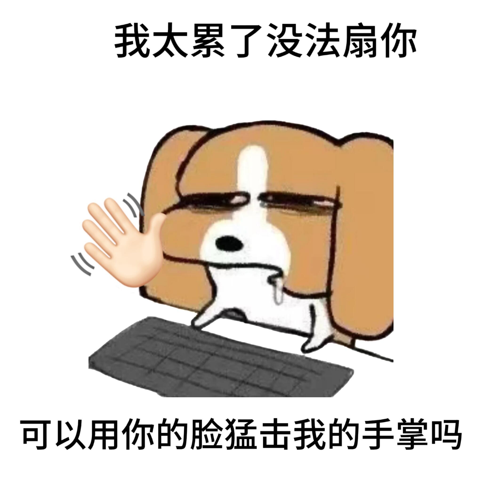 我去接迪丽热巴上班你们不拍，我去接迪丽热巴下班你们不拍，我穿和迪丽热巴衣服你们不