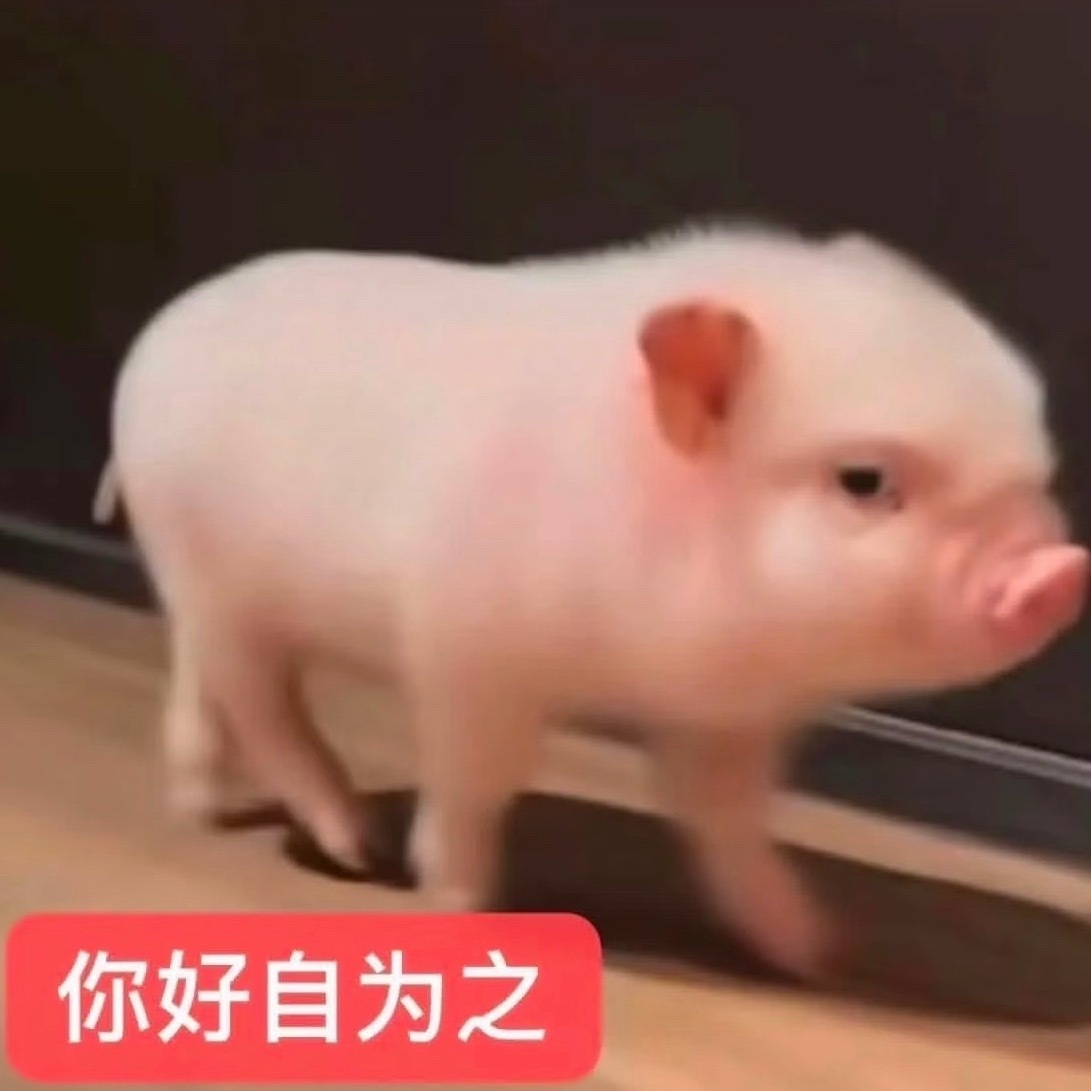零食商务怎么不热演了 ​​​