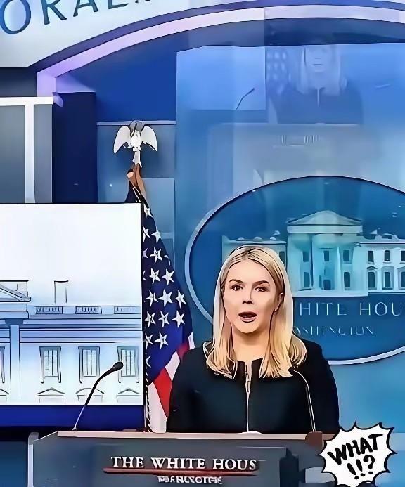 美国被中国再度拒绝了，美国官员很沮丧！
真正让华盛顿难受的，不是H200这款芯片